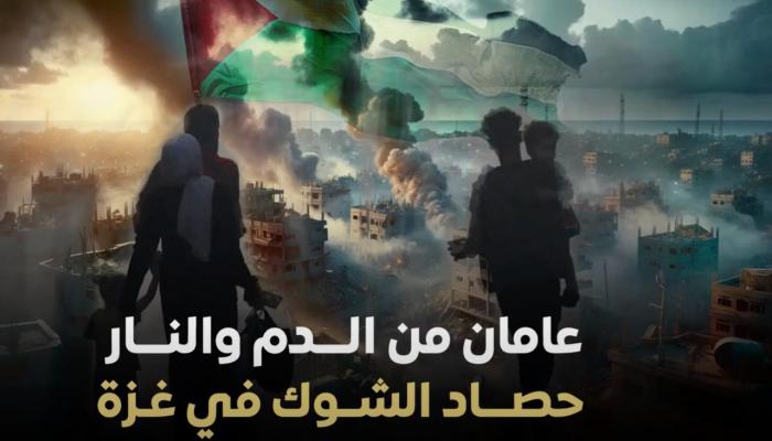 حصاد حرب غزة في عامين