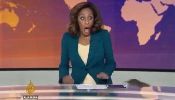 حقيقة اقتاح فأر ستوديو الجزيرة