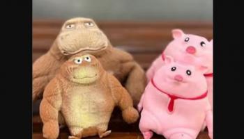 دمى مضادة للتوتر في إيران