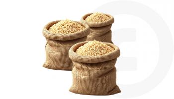 حصاد القمح في فرنسا