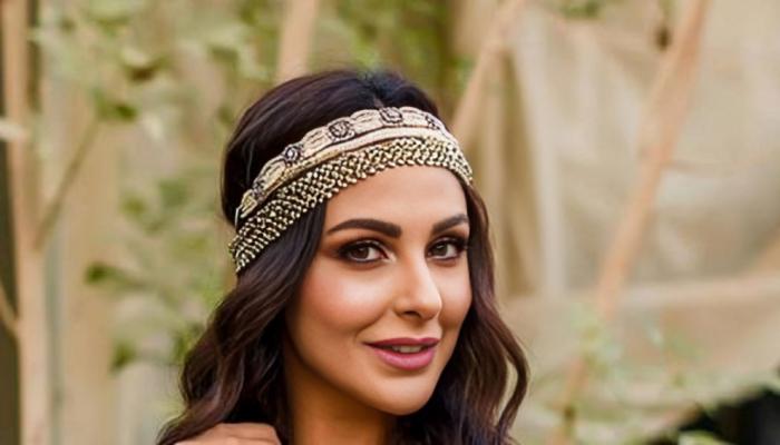 الفنانة ميس حمدان