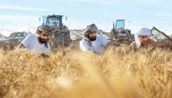 جهود إماراتية متواصلة لتعزيز الأمن الغذائي