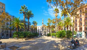 مشاجرة مدرسة بيڤرلي هيلز - تعبيرية