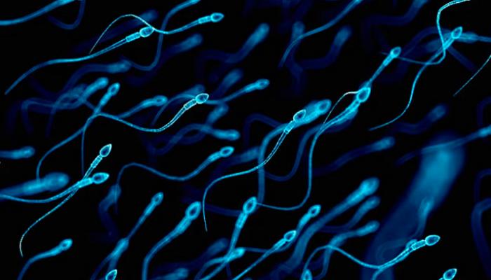 شيخوخة الحيوانات المنوية قد تنقل أمراضا للأبناء