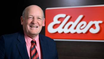 مارك أليسون