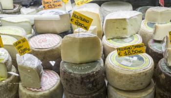 أنواع مختلف من الجبن