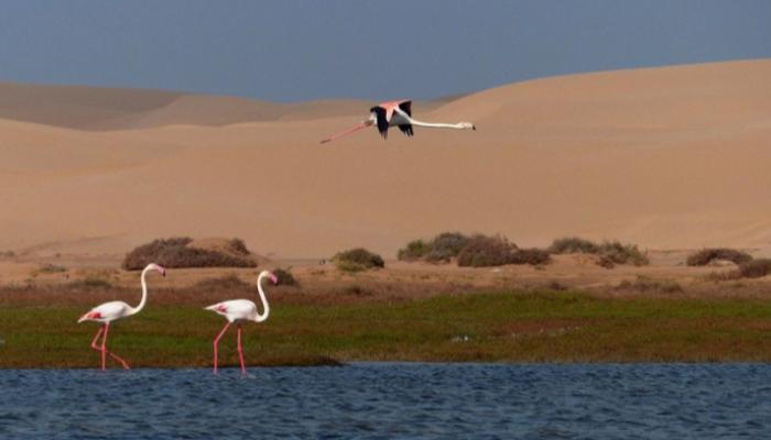 بحيرة خنيفس المغربية