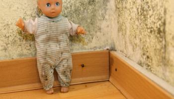 تفاصيل وفاة طفل بسبب العفن