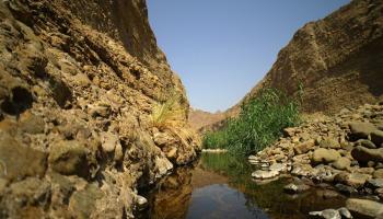 محمية وادي الوريعة الوطنية