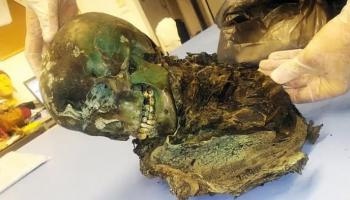 المومياء الخضراء الغامضة