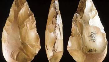 صورة الفأس الحجرية