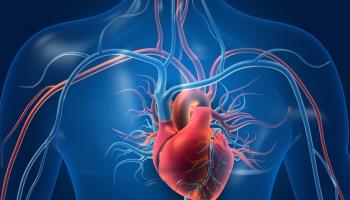 علماء يعيدون الحياة لخلايا القلب التالفة