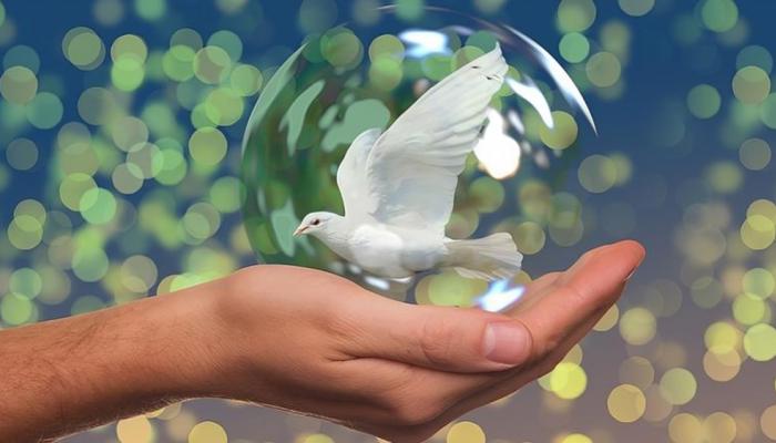 اليوم العالمي للعلوم من أجل السلام والتنمية 2025