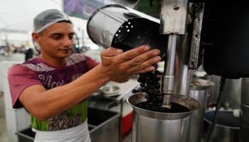 توت الآساي - AP