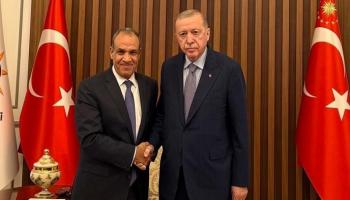 الرئيس التركي ووزير الخارجية المصري