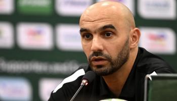 وليد الركراكي مدرب منتخب المغرب