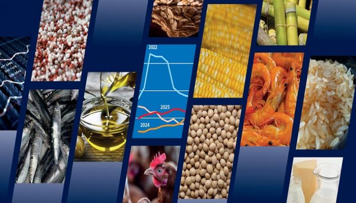 ارتفاع فاتورة استيراد الأغذية العالمية