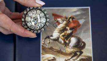 بروش نابليون