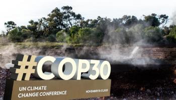 تخزين الكربون