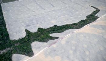 منطقةً مُزالة الأشجار من غابات الأمازون المطيرة - أ ف ب