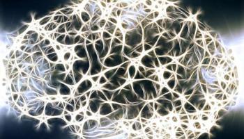 صناعة نسيج يشبه الدماغ البشري