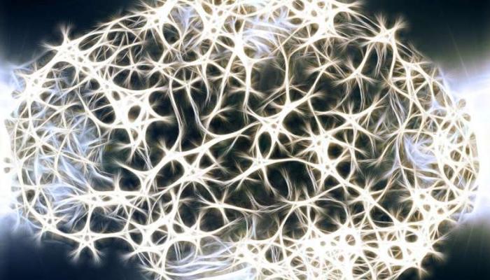 صناعة نسيج يشبه الدماغ البشري