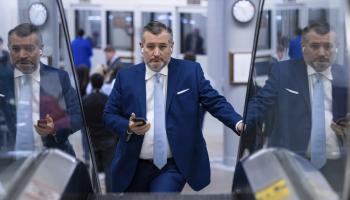 السيناتور تيد كروز 