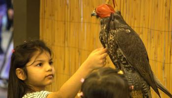 مهرجان الشيخ زايد منصة عالمية للتراث