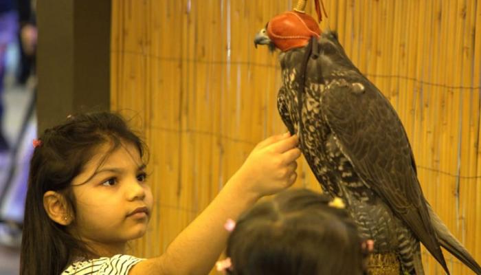 مهرجان الشيخ زايد منصة عالمية للتراث