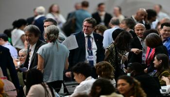 فعاليات COP30 في البرازيل - أ ف ب