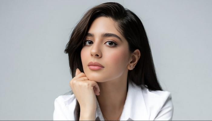 الفنانة مايان السيد