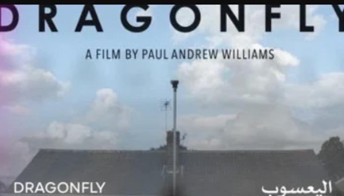 ملصق فيلم "اليعسوب"