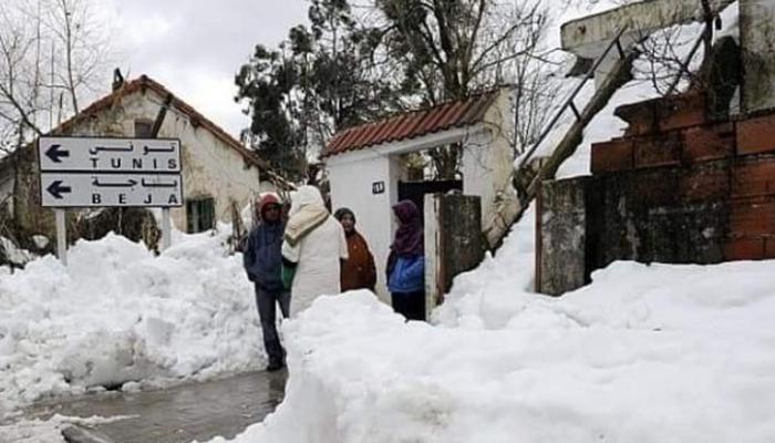 نزول الثلوج في عين دراهم التونسية
