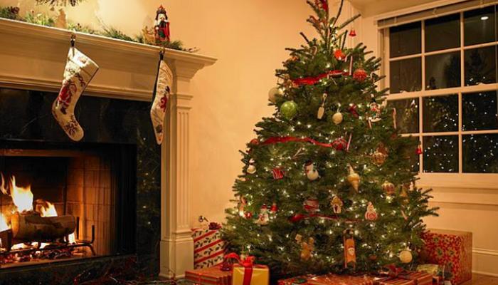 شجرة عيد الميلاد تقدم فوائد صحية 