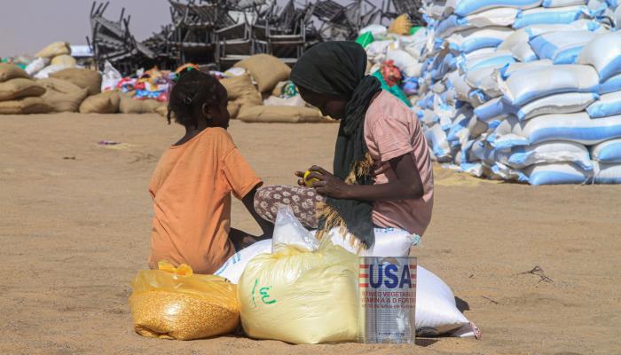 الإمارات تدعم الحل السياسي في السودان لوقف معاناته