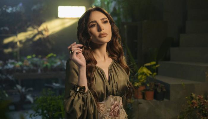 الفنانة اللبنانية عبير نعمة