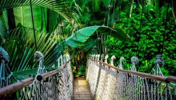 مصدر الصورة كانفا.