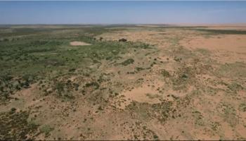 أحد مشروعات التشجير في الصين