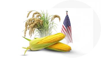 محاصيل الحبوب الأمريكية