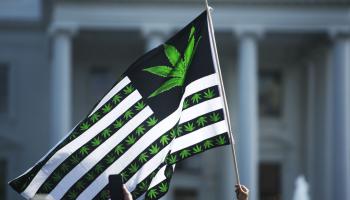 الماريغوانا