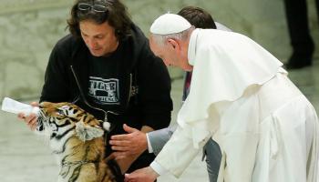 البابا فرنسيس بابا الفاتيكان والنمر المتبنى