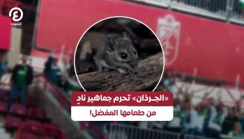 «الجرذان» تحرم جماهير نادٍ من طعامها المفضل