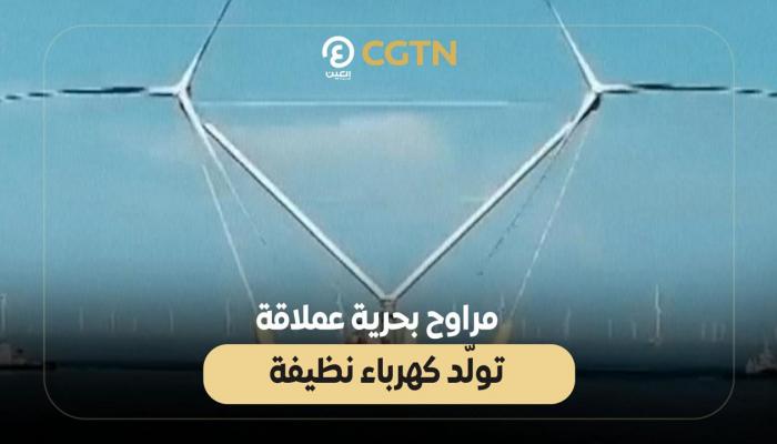 مراوح بحرية عملاقة