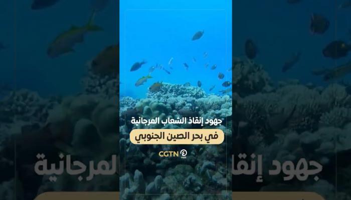 إنقاذ الشعاب المرجانية في بحر الصين الجنوبي
