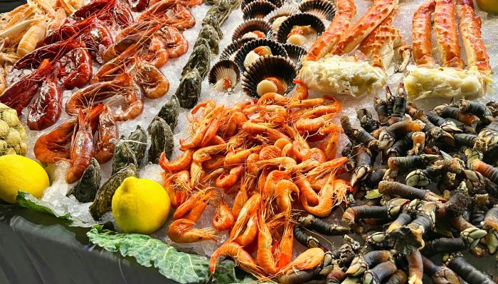 طعام البحر قد يُعزز أزمة مقاومة المضادات الحيوية