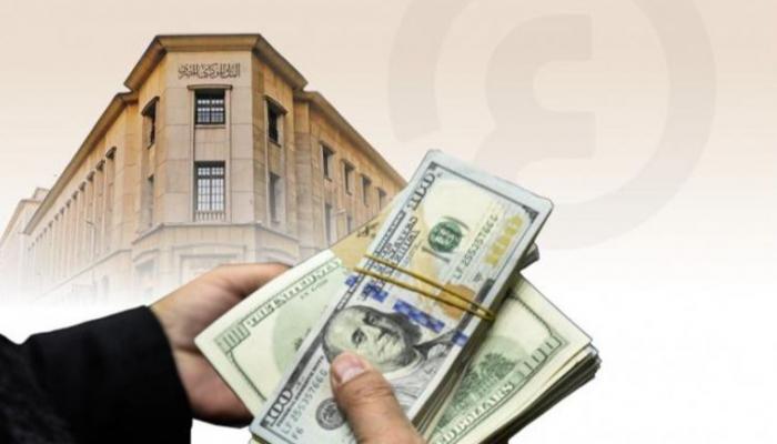 قفزة تاريخية في تحويلات المصريين العاملين بالخارج
