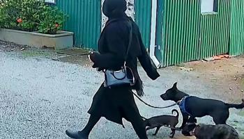 نجمة أسترالية متهمة بقتل شريكها