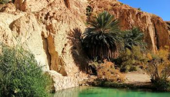 الواحات الجبلية بالشبيكة