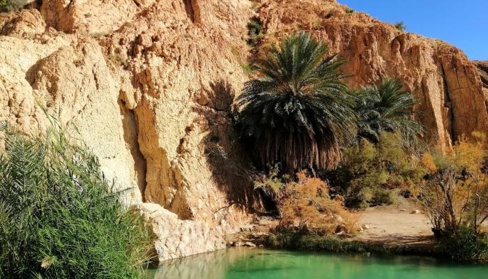 الواحات الجبلية بالشبيكة