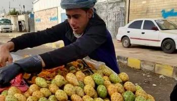 التين الشوكي في اليمن